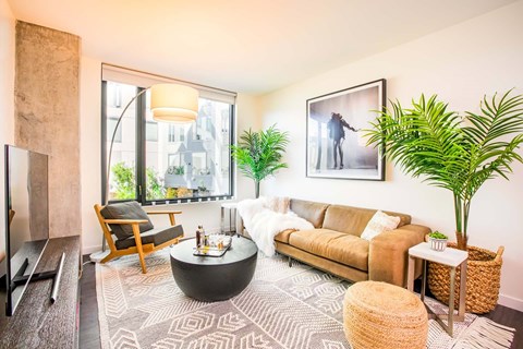 1699 Market St Studio-2 Beds Apartment for Rent