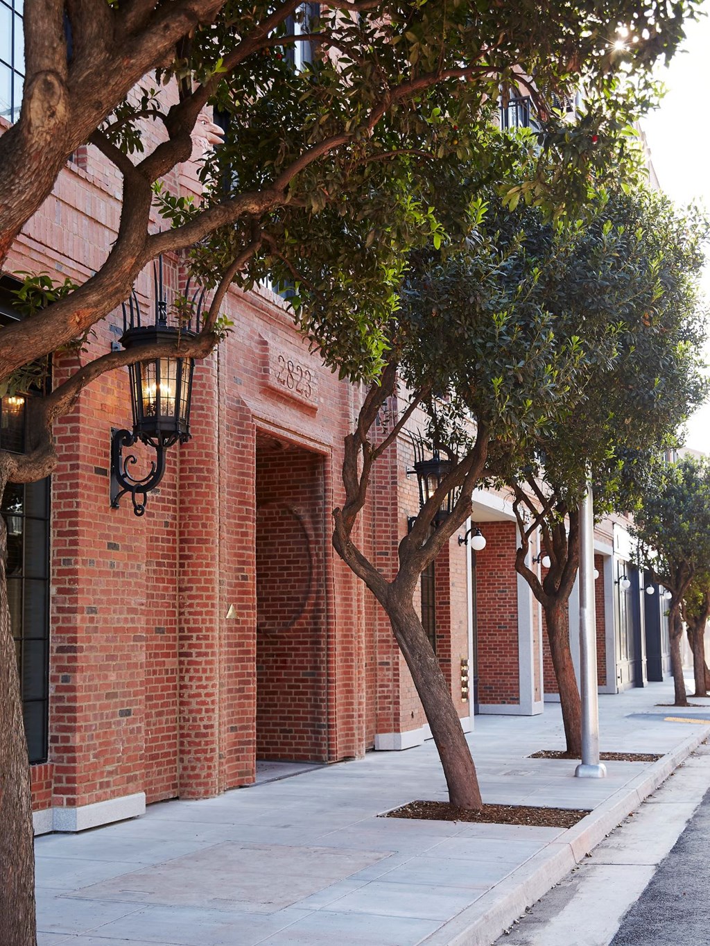 A row of trees are planted in front of a red brick building.