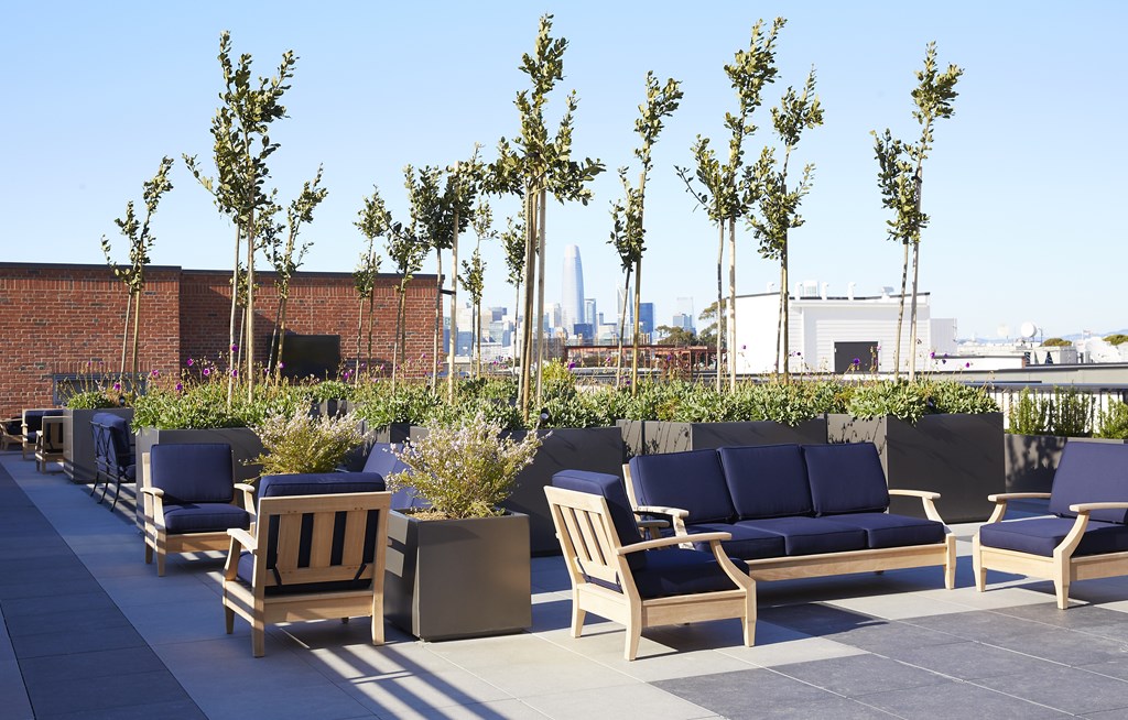A row of wooden chairs and benches are arranged on a patio.