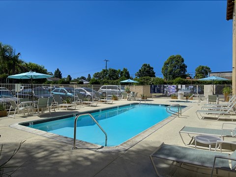 A large swimming pool surrounded by sun loungers and umbrellas.