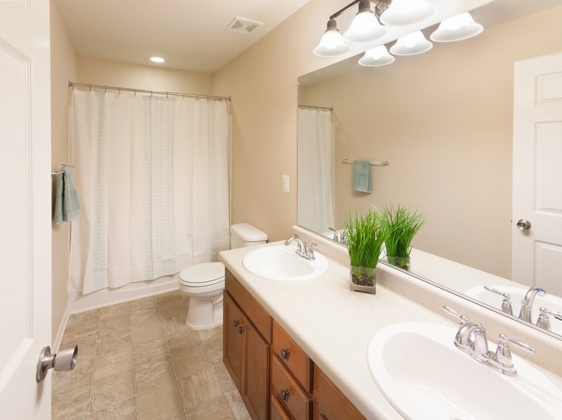 A bathroom with a toilet, sink, and shower curtain.