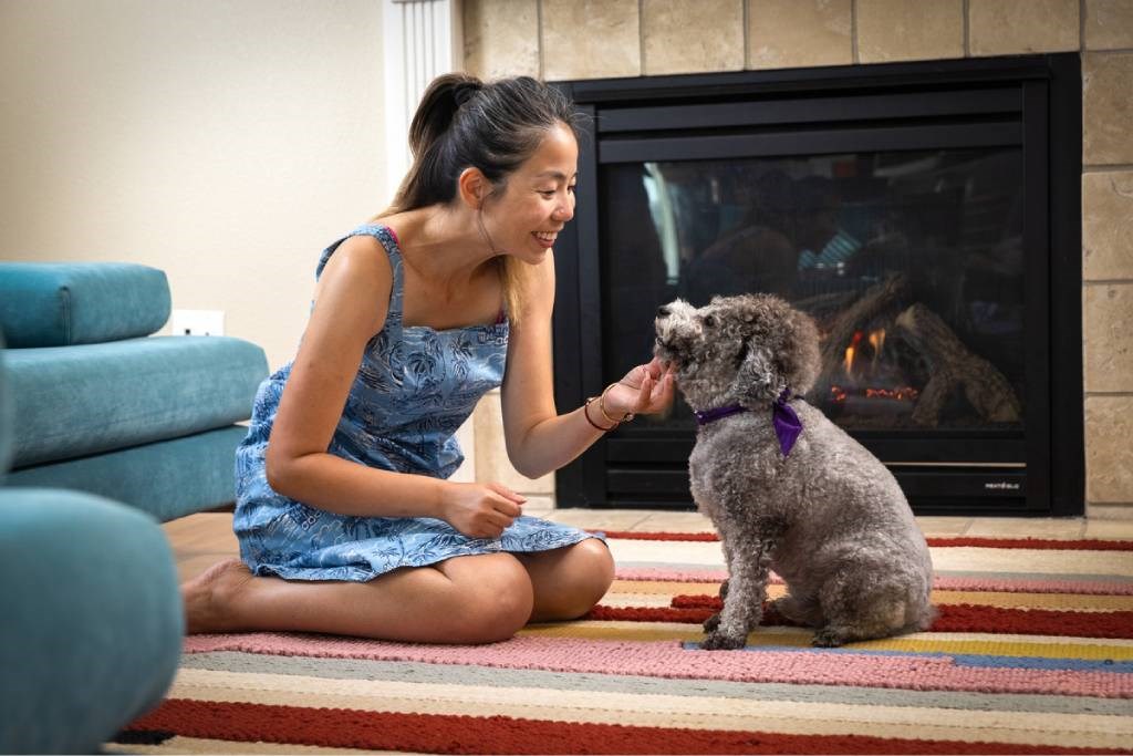 A woman in a blue dress is sitting on the floor petting a dog in front of a fireplace.