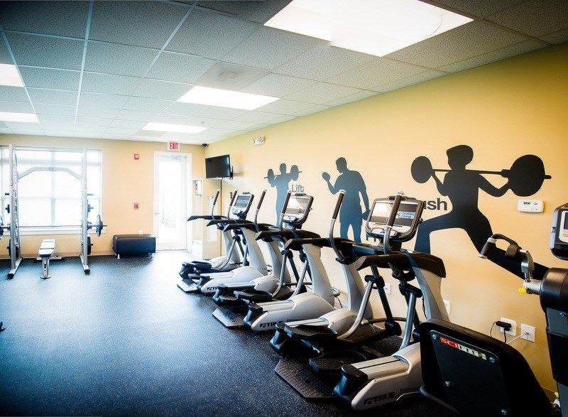 A gym with treadmills and exercise bikes.