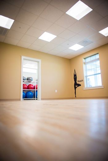 A room with a window, a shelf with exercise balls and a yoga figure.