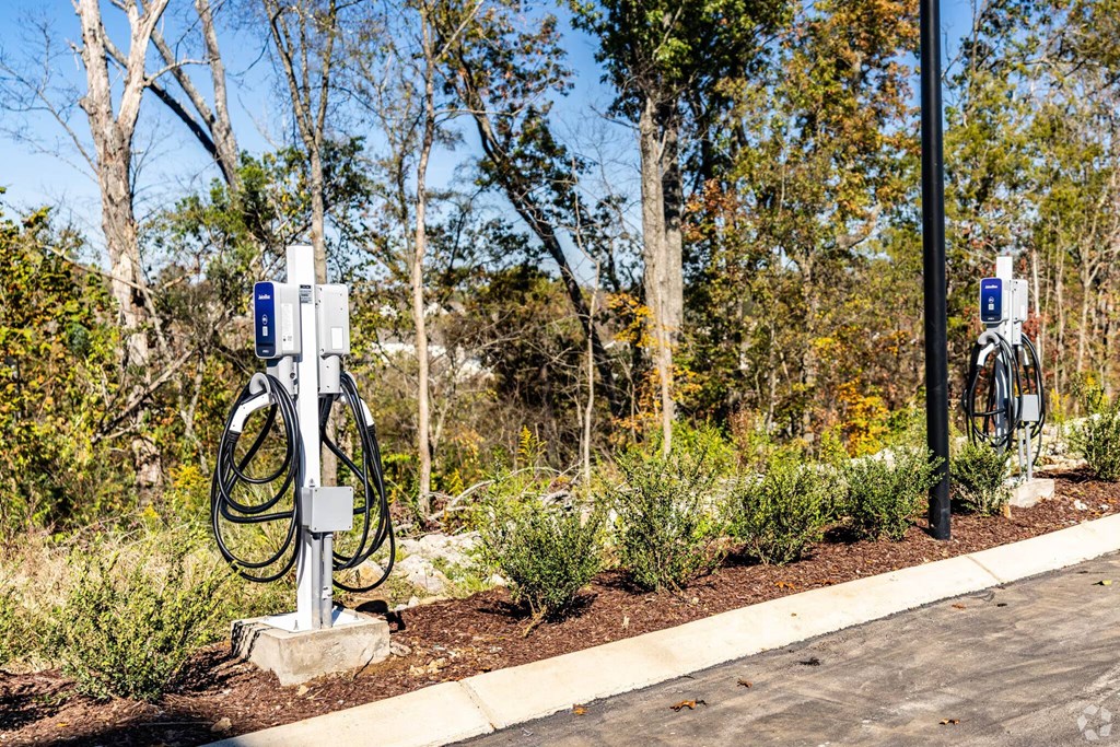 A charging station for electric vehicles is located in a landscaped area.