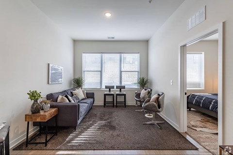 A living room with a grey couch, a wooden coffee table, and a rug.
