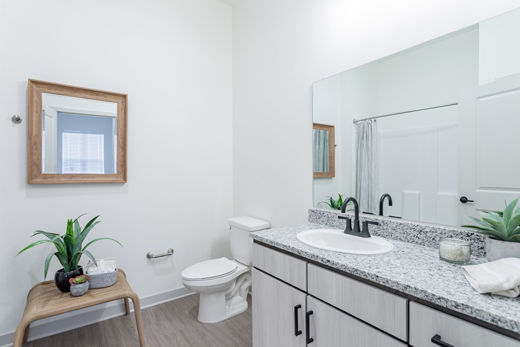 A bathroom with a toilet, sink, and mirror.
