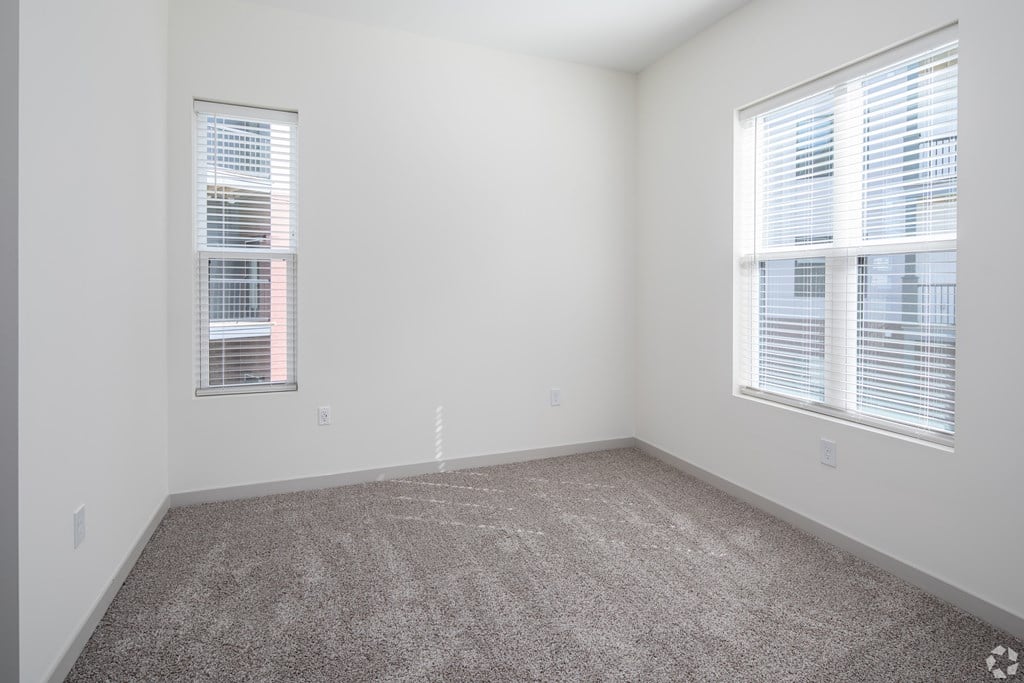 A room with a carpeted floor and two windows with blinds.