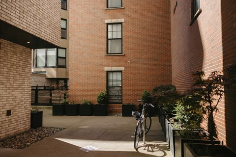 1363 Hollis Street 1-2 Beds Apartment for Rent