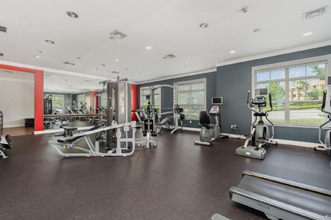 A gym with treadmills, weights, and exercise machines.