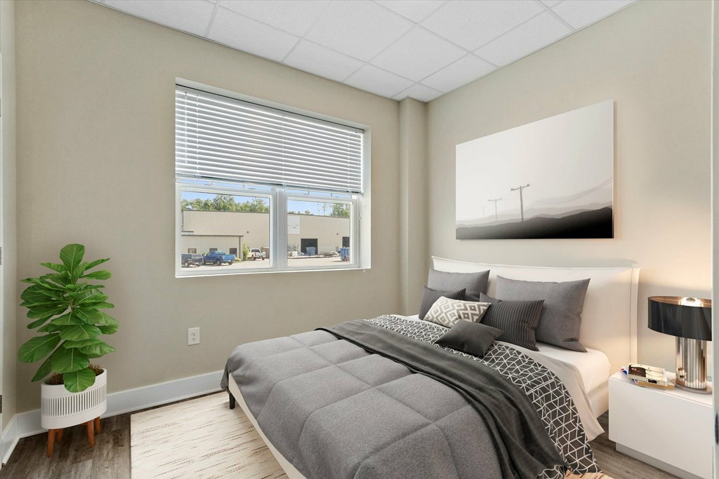 A bedroom with a large bed and a potted plant.