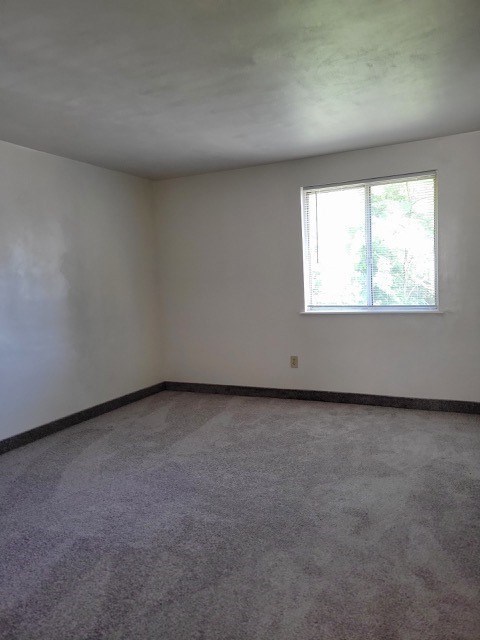 A room with a window and carpeted floor.