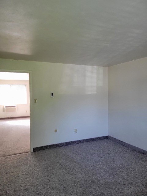 A room with a carpeted floor and a window letting in sunlight.