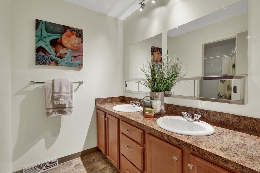 A bathroom with a large mirror, a sink, and a potted plant.
