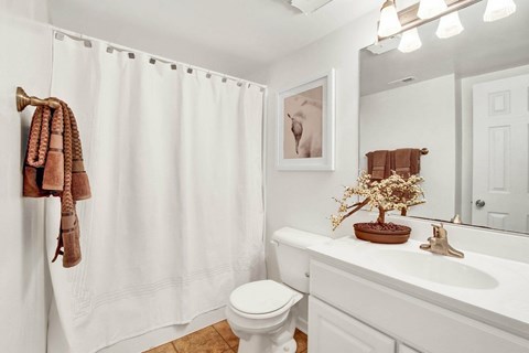 A white bathroom with a toilet, sink, and a plant.