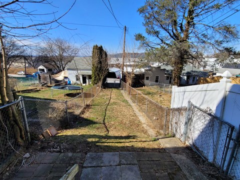 A backyard with a fence and a tree.