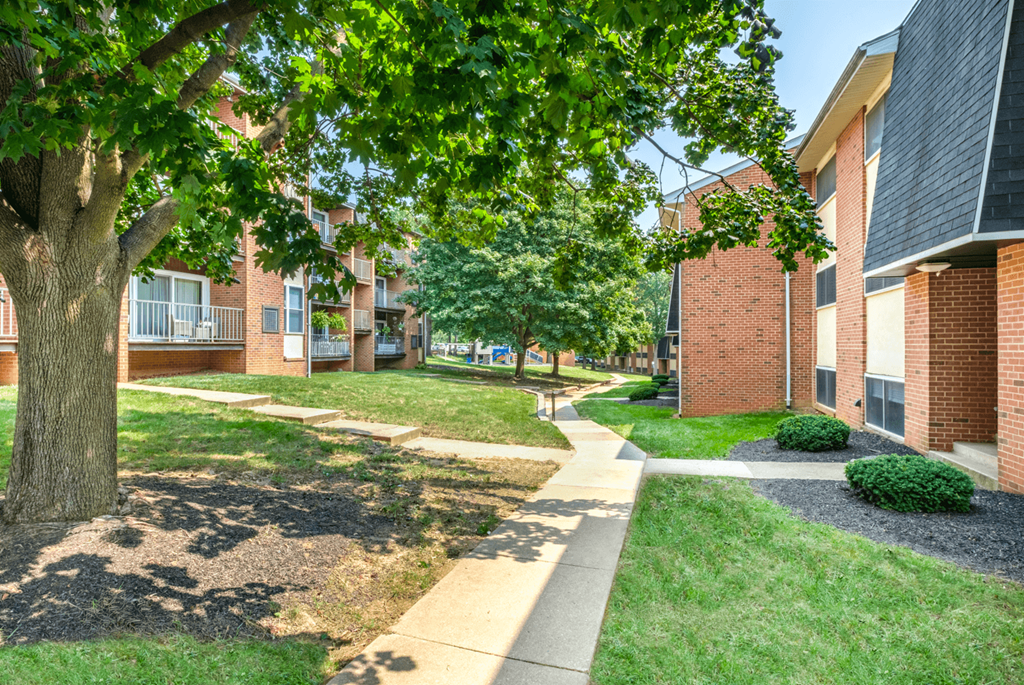 A tree in a grassy area in front of a building.