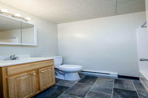 A bathroom with a toilet, sink, and a mirror.