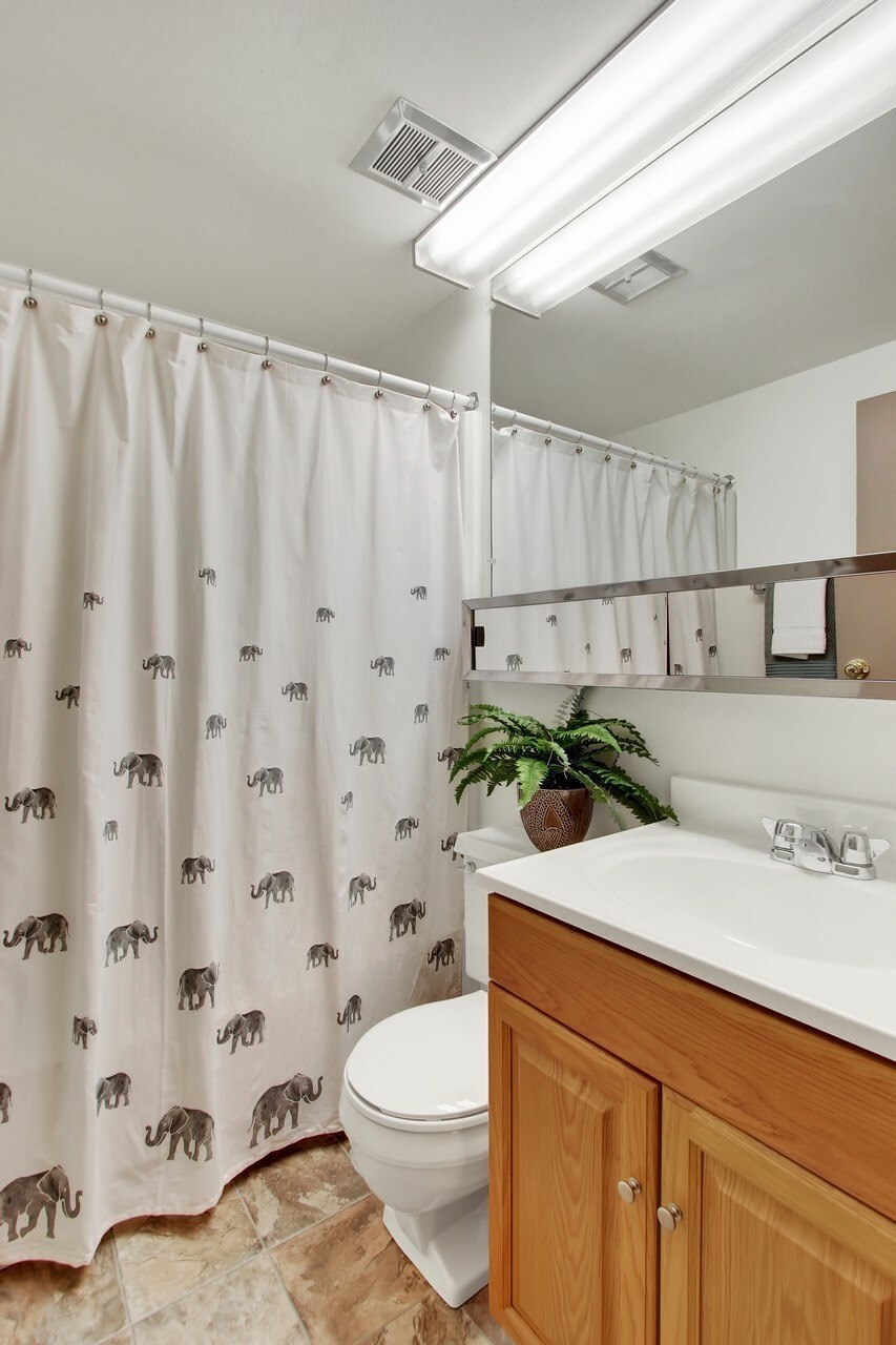 A bathroom with a toilet, sink, and shower curtain with elephant prints.