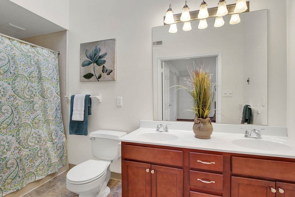 A bathroom with a white toilet, a large mirror, and a vase with a plant on the counter.