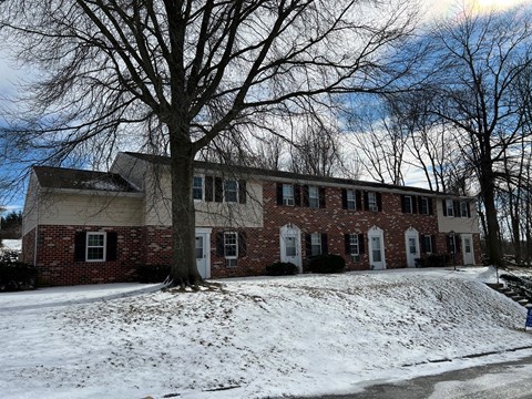 A red brick building with white trim and windows sits in front of a tree with snow on the ground.
