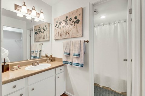 A bathroom with a sink, mirror, and towel rack.