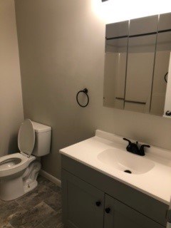 A bathroom with a toilet, sink, and mirror.