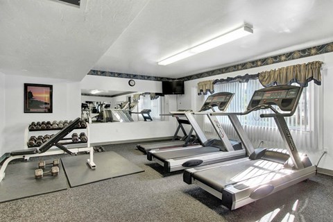 A home gym with treadmills and a rowing machine.