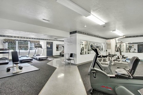 A gym with treadmills, exercise bikes, and other equipment.