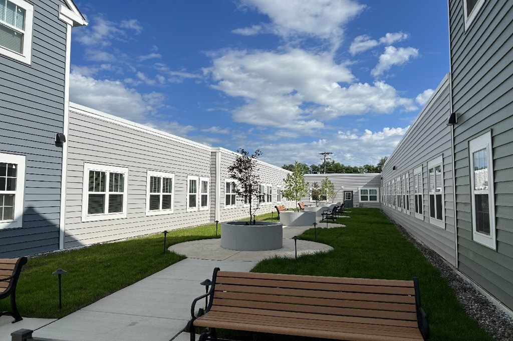 A sunny day at the park with benches and a tree.