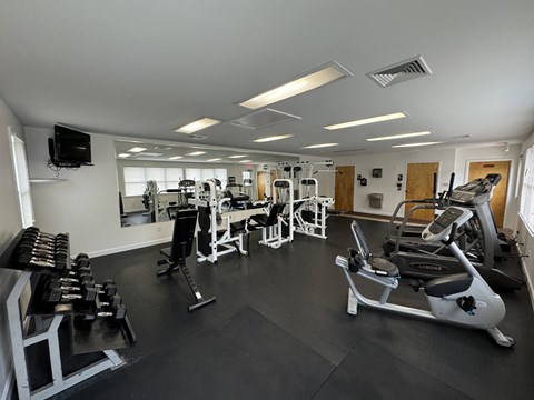 A well-equipped gym with various exercise machines and weights.