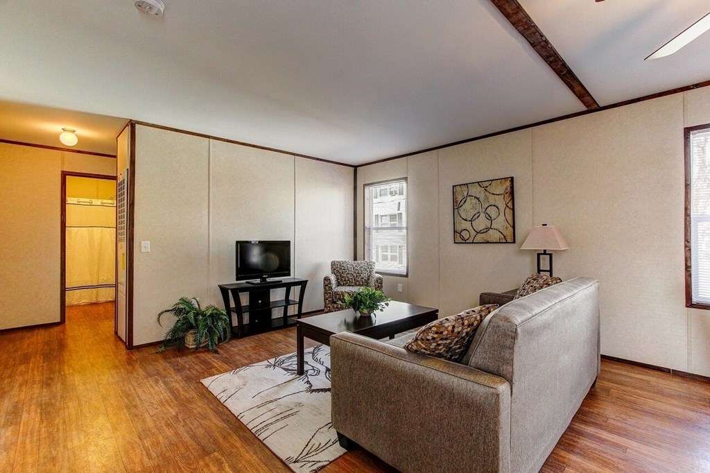 A living room with a couch, a television, and a plant.