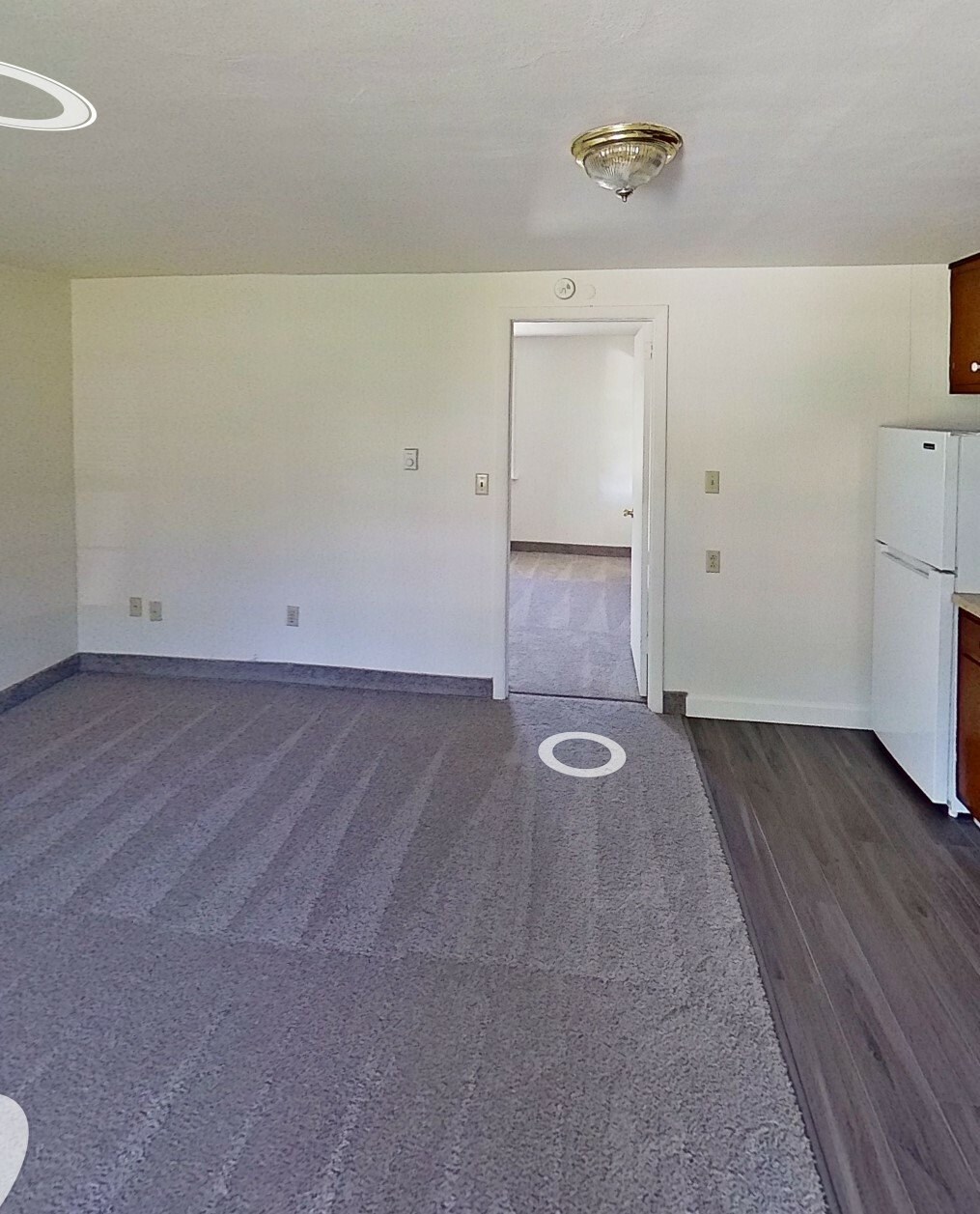 A room with a carpet and a white door.