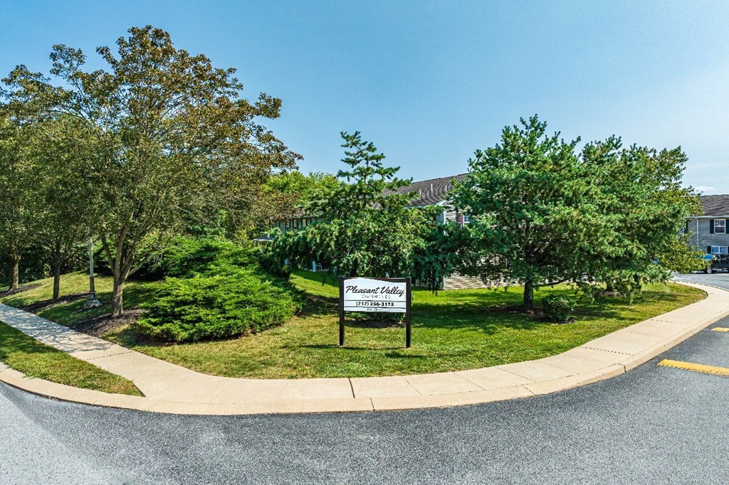 A sign for a Platinum Club is situated on a grassy area next to a road.