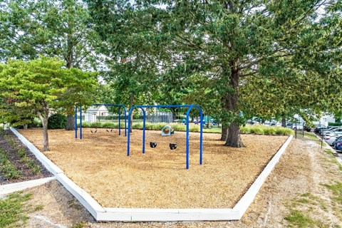 A playground with a blue swing set surrounded by trees.