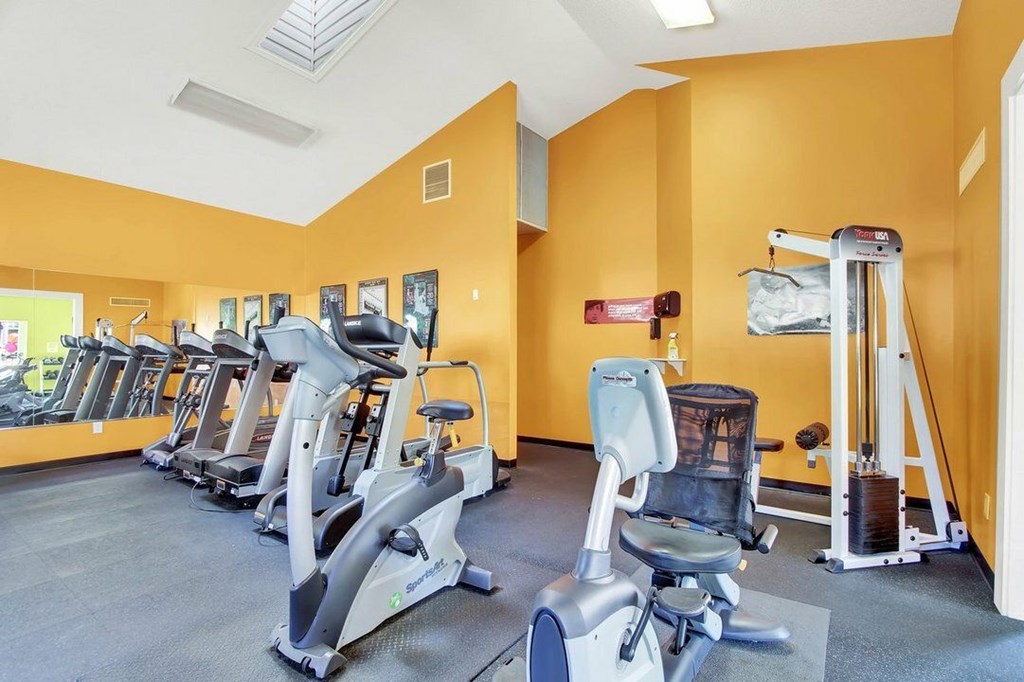 A gym with treadmills, exercise bikes, and other equipment.