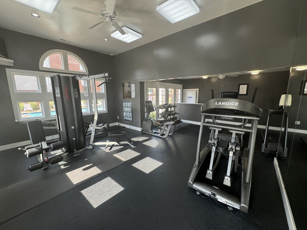 A gym with a variety of equipment including a treadmill, weights, and a bench press.