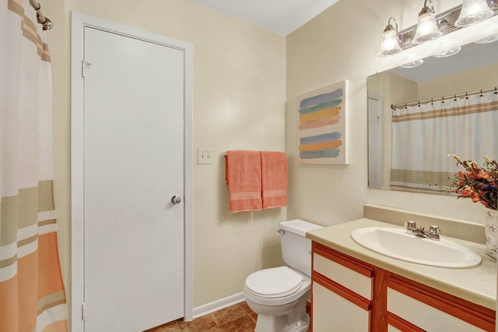 A bathroom with a toilet, sink, and shower curtain.