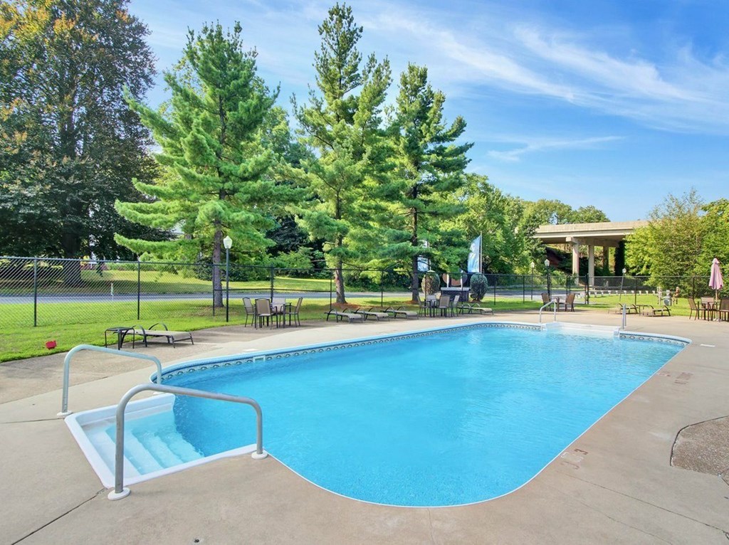 A large swimming pool surrounded by trees and a fence.
