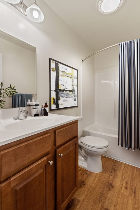 A bathroom with a toilet, sink, and a shower curtain.