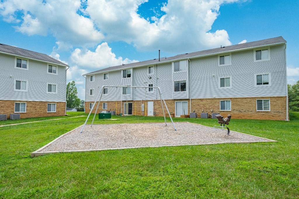 A dog is playing in the sand in front of apartment buildings.