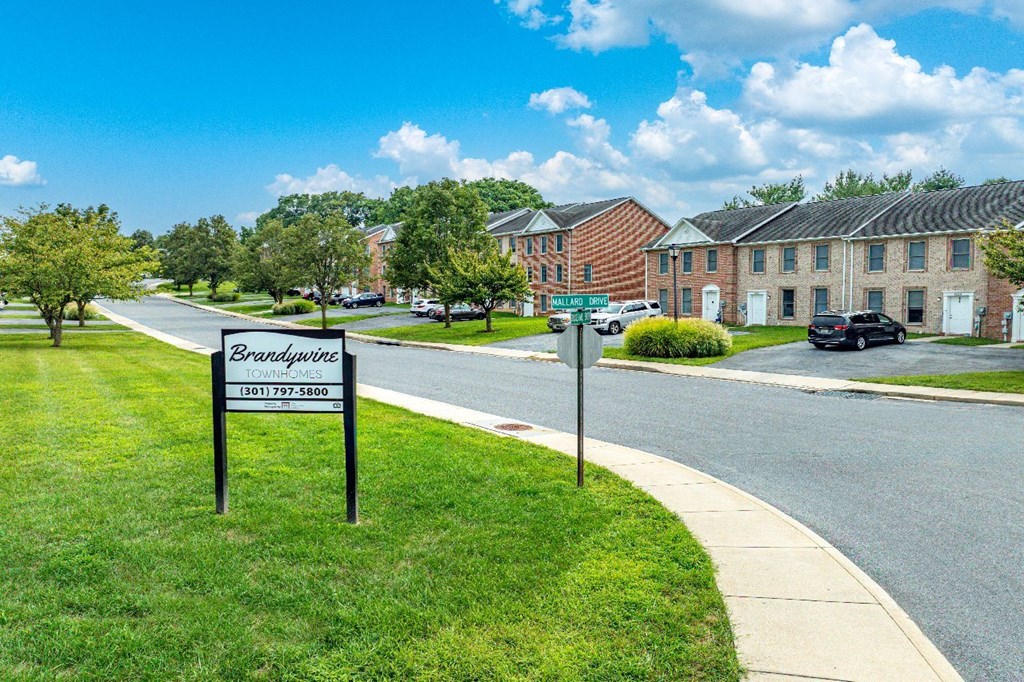 A sign for Brandywine stands in the grass by a road.