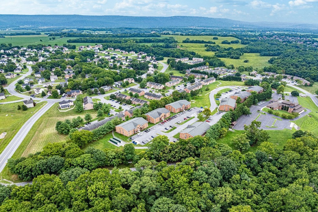 A bird's eye view of a residential area with houses and greenery.