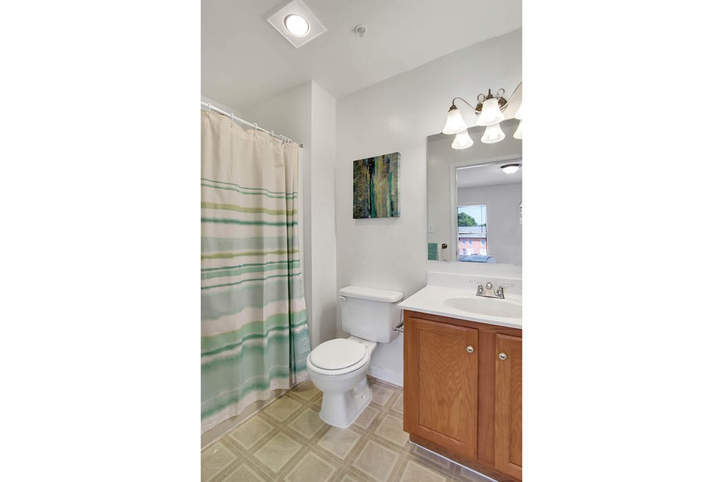 A bathroom with a toilet, sink, and shower curtain.