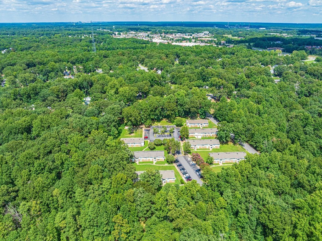 A bird's eye view of a residential area surrounded by dense green forest.