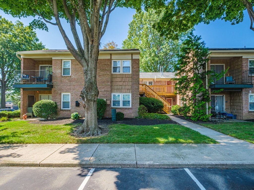 A tree in front of a brick apartment building.