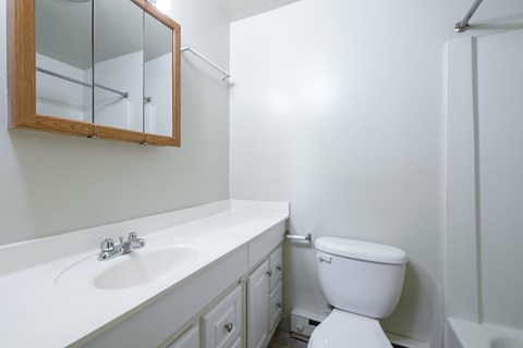 A white toilet sits next to a sink in a bathroom.