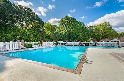 A large swimming pool surrounded by trees and lounge chairs.