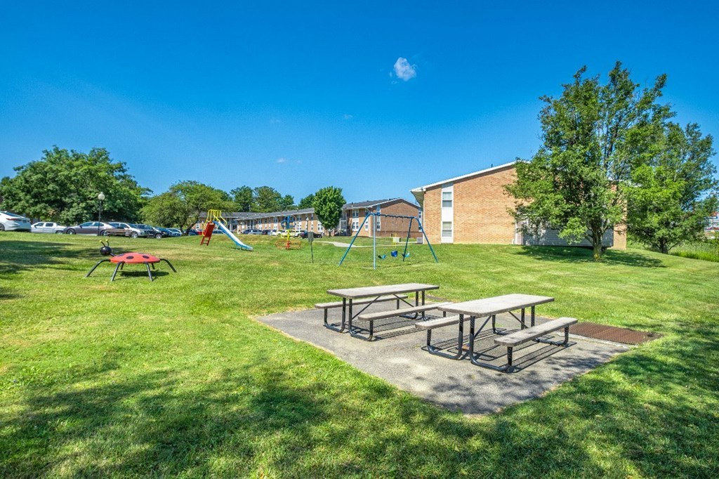 A sunny day at the park with picnic tables and playground equipment.