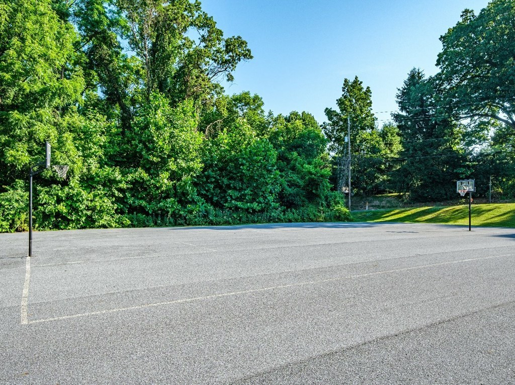 A parking lot with a clear sky and trees in the background.